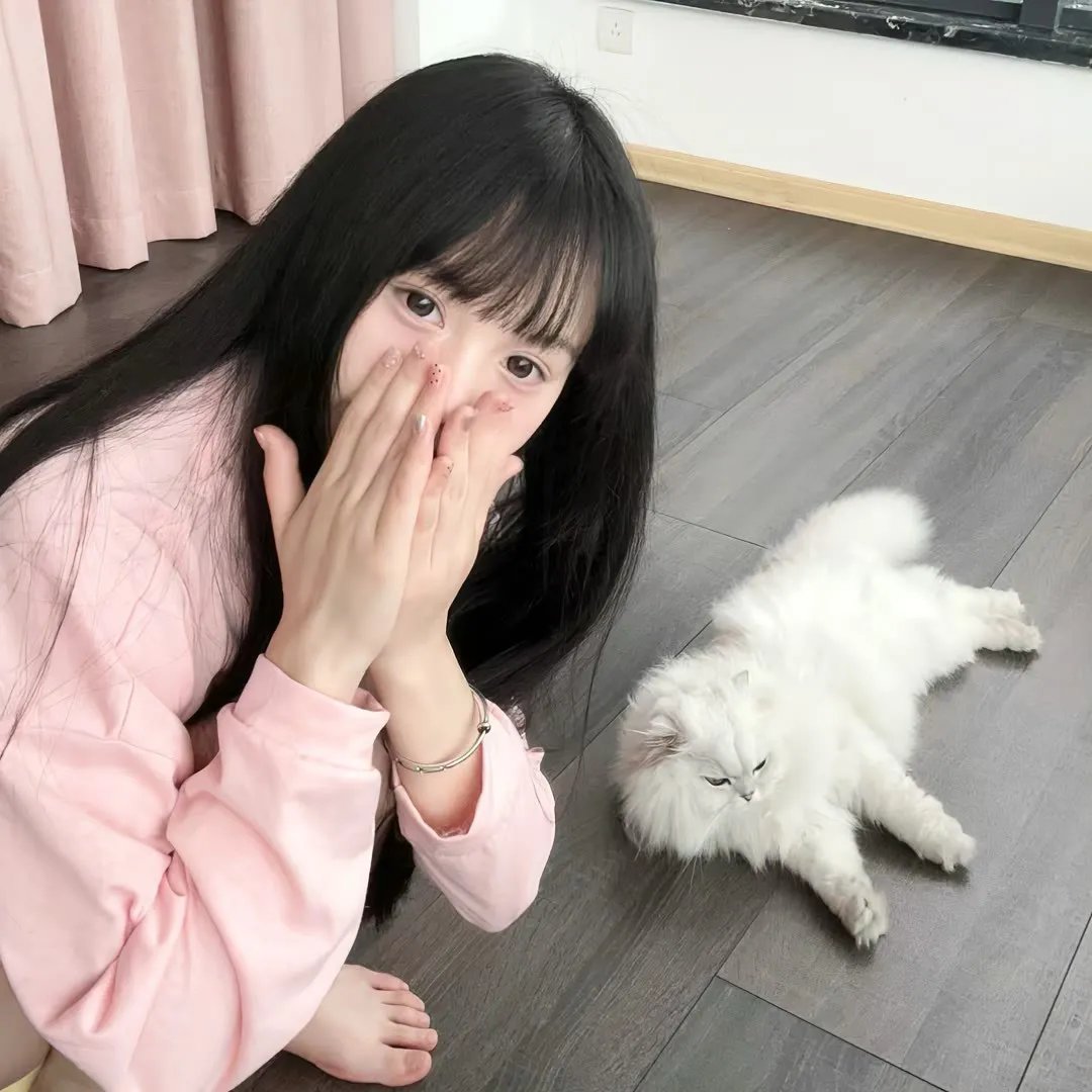 屋顶上的小飞人 在线观看